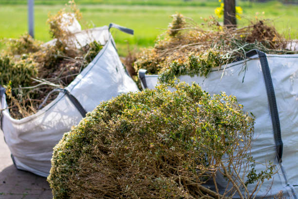 Best Shed Removal  in Lexico, CA