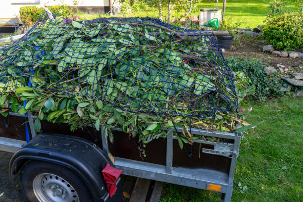 Best Hoarding Cleanup  in Lexico, CA